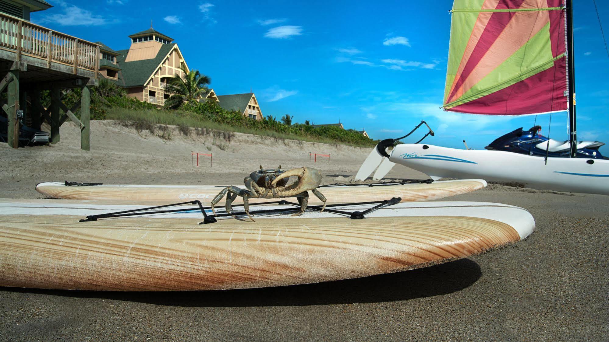 Disney'S Vero Beach Resort Wabasso Beach Buitenkant foto